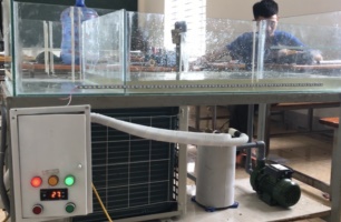Đề tài nghiên cứu khoa học